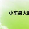 小車身大肚量 翼搏車主談美好車生活