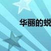 華麗的蛻變 試駕全新第八代凱美瑞