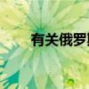 有關(guān)俄羅斯的豐田RAV4的詳細(xì)信息 有關(guān)俄羅斯的豐田RAV4的詳細(xì)信息
