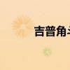 吉普角斗士將參加鐵桿越野比賽