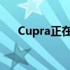 Cupra正在以非?？斓乃俣葦U(kuò)展其范圍