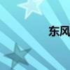 東風(fēng)景逸TT外觀方面展示