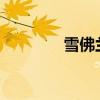 雪佛蘭Volt新車型基礎(chǔ)信息 雪佛蘭Volt新車型基礎(chǔ)信息