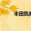 豐田凱美瑞GBooK標(biāo)準(zhǔn)功能如何