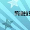 凱迪拉克林蔭大道外觀方面展示