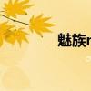 魅族mx4參數(shù)（魅族MX4）