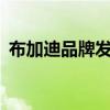 布加迪品牌發(fā)布了第100周年紀念版Chiron