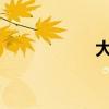 大眾輝騰性能怎么樣
