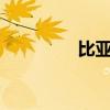 比亞迪F3新車型基礎(chǔ)信息