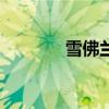 雪佛蘭Malibu外觀方面展示