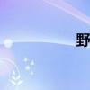 野馬GT標(biāo)準(zhǔn)功能如何