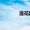 蓮花跑車特別版性能怎么樣