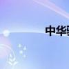 中華駿捷FSV外觀方面展示