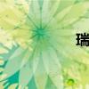 瑞麒X1標準功能如何
