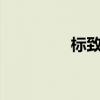 標(biāo)致308CC標(biāo)準(zhǔn)功能如何