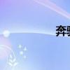 奔馳M級標準功能如何