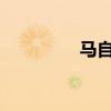 馬自達(dá)睿翼標(biāo)準(zhǔn)功能如何