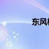 東風標致207外觀方面展示