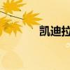 凱迪拉克SRX新車型基礎信息