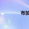 布加迪威航外觀方面展示