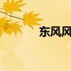 東風風行SUV新車型基礎(chǔ)信息