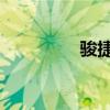 駿捷FSV新車型基礎(chǔ)信息