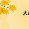 大眾速騰標(biāo)準(zhǔn)功能如何