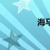 海馬M2新車(chē)型基礎(chǔ)信息