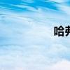 哈弗H3新車型基礎信息