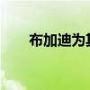 布加迪為其超級(jí)跑車創(chuàng)建了跟蹤系統(tǒng)