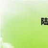 陸風(fēng)X8標(biāo)準(zhǔn)功能如何