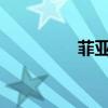 菲亞特博悅外觀方面展示