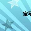 寶馬730Li標準功能如何