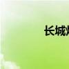長城炫麗CVT外觀方面展示