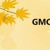 GMCTerrain外觀方面展示