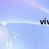 vivo應(yīng)用商店（vivo）