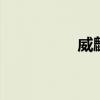 威麟X5新車型基礎信息