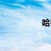 哈弗M3標準功能如何
