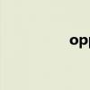 oppofindx5(OPPO) oppofindx5(OPPO)