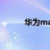 華為mate40 pro（華為mate）