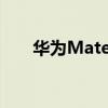 華為Mate 50系列被曝（華為mate）