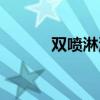 雙噴淋洗衣機(jī)什么意思（雙噴）