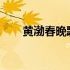 黃渤春晚歌曲2022(黃渤春晚歌曲) 黃渤春晚歌曲2022(黃渤春晚歌曲)