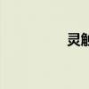 靈觸是什么意思（靈觸）