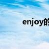 enjoy的過去式（stay的過去式）