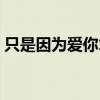 只是因為愛你才想你這首歌（只是因為愛你）