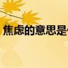 焦慮的意思是什么意思?。ń箲]萬分的意思）