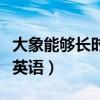 大象能夠長時間行走而且從不迷路英語（迷路英語）