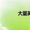大量英語怎么寫（大量英語）