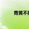 青黃不接是成語嗎?（青黃不接）